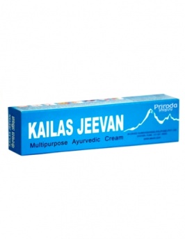 Крем-бальзам аюрведический Kailas Jeevan (Кайлаш Дживан), 20 г фото 1239